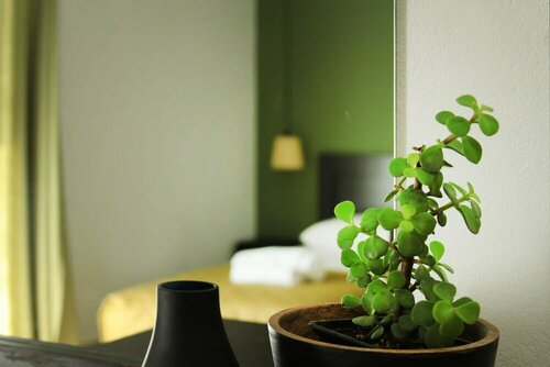 Krinis Apartments, Забронировать Апартаменты/квартира Родос остров Родос, рядом с Пляж Элли