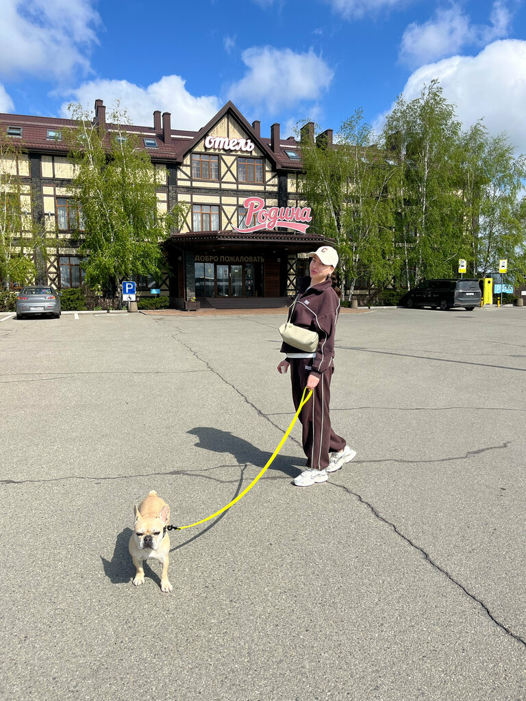 Отель Родина