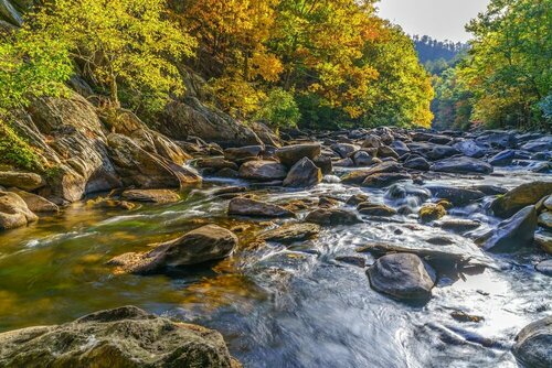 Willow Creek, Забронировать Дом для отпуска Уэр Вэлли Great Smoky Mountains National Park