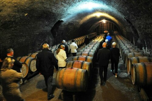 Domaine Borgnat, Reservar Hotel Escolives-Sainte-Camille Yonne's wine road