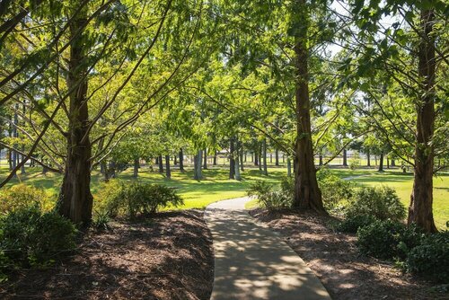 SpringHill Suites by Marriott Williamsburg, Prenota Hotel Williamsburg Virginia