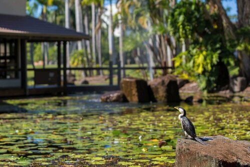 Oaks Sunshine Coast Oasis Resort, Забронировать Курортный отель Отели Калаундра 4 звезды, рядом с Музей самолетов Квинсленда, 4*