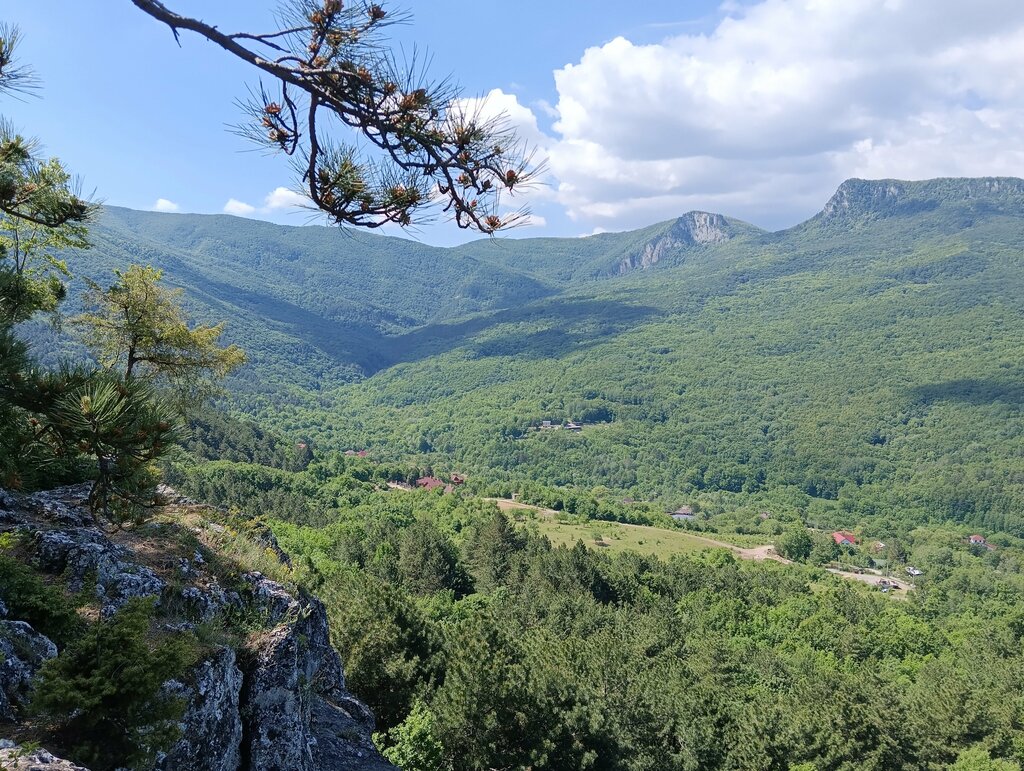 Бергхоф