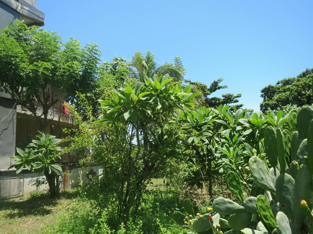 Amed Beach Resort