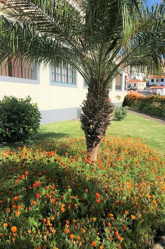 Quinta Mãe dos Homens, Varaa Hotelli Santa Maria Funchal