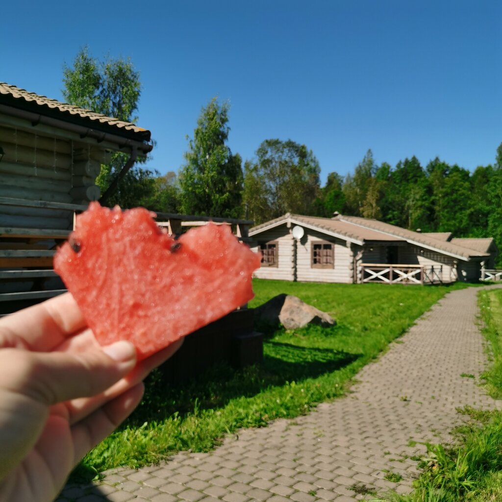 Лесное