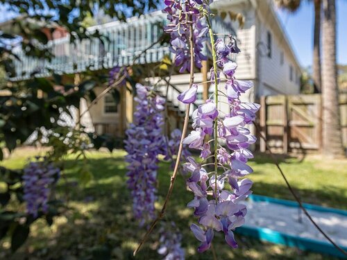 Palms On Fifth, Book Hotel Tybee Island Georgia