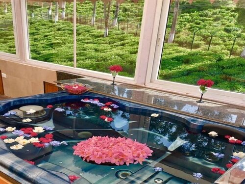 Sourenee Tea Estate & Boutique Resort, Rezervovat Lázně / Resort Bagdogra West Bengal
