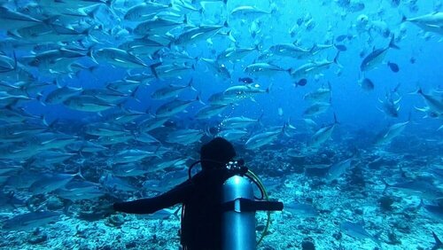 Umet Stay, Prenota Hotel Thinadhoo (Vaavu Atoll) Atollo di Gaafu