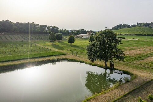 Agrestia Azienda Agricola, Забронировать Отель Бертиноро Эмилия-Романья