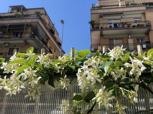 Flower Rooms, Забронировать Отель Пренестино 