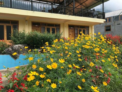 Sau Meo Homestay, Rezervovat Hotel Hotely v Lao Cai s bazénem, Bazén