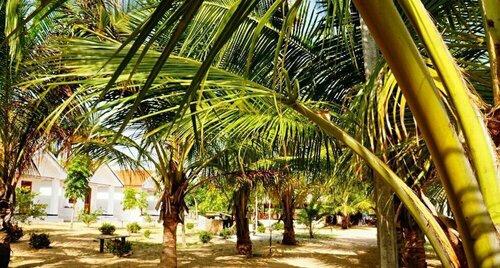 Deens cabanas, Забронировать Отель Отели Аругам-Бей 3 звезды, 3*