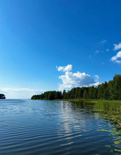 Усадьба Куртюга, Забронировать Курортный отель  