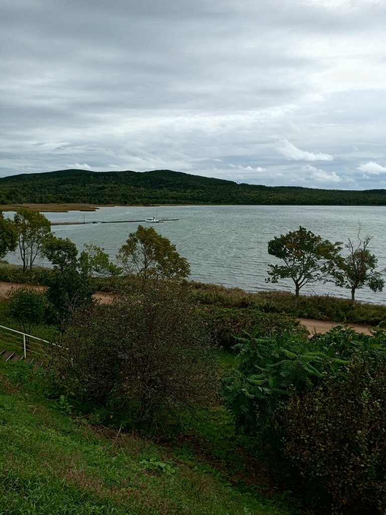 Voevoda