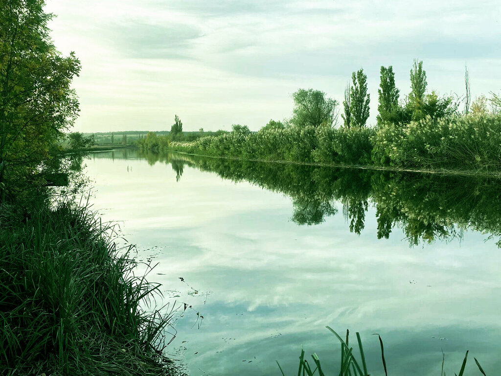 У Реки