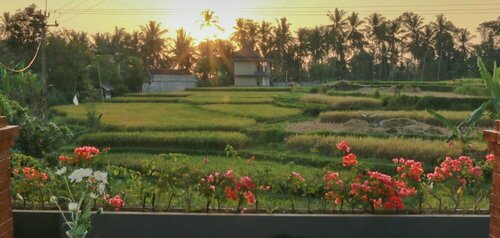 Puri Suksma Ubud, Prenota Hotel Ubud Gianyar