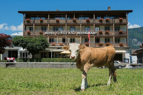 Jungfrau Hotel, Забронировать Отель Вильдерсвиль Интерлакен