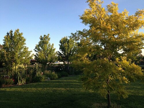 Grampians View B&B, Prenota Bed & breakfast  