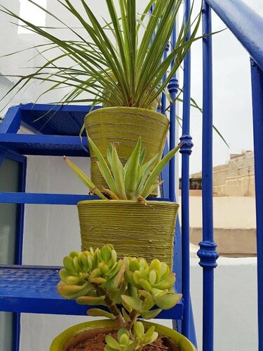 Majorelle Hostel, Prenota Ostello Hotel SPA a Marrakech-Safi, SPA