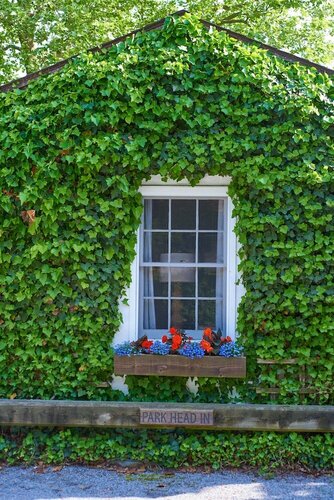 The Hampton Maid, Book Mini-hotel  