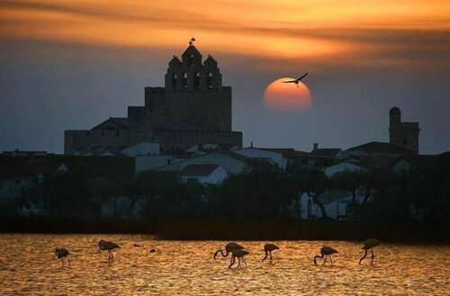 Hotel Les Palmiers En Camargue, Rezervovat Hotel Saintes-Maries-de-la-Mer Camargue