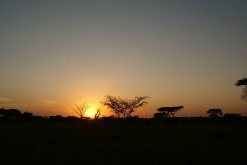 Ikoma tented Camp, Prenota Campeggio Robanda Serengeti