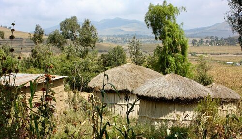Vijiji Center Lodge and Safari, Buchen Sie Ferienhaus Nkoanrua Arusha National Park