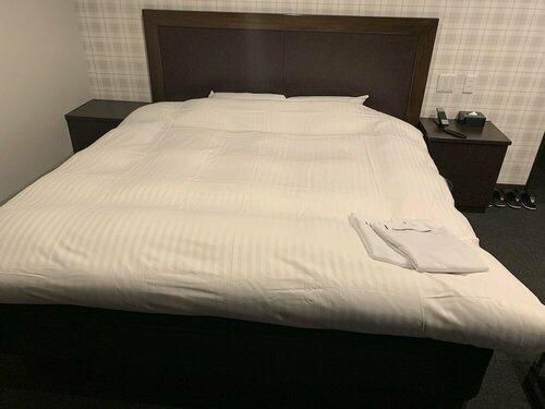 Nagoyaeki Access Hotel, Prenota Hotel Hotel 3 stelle a Nagoya, 3*