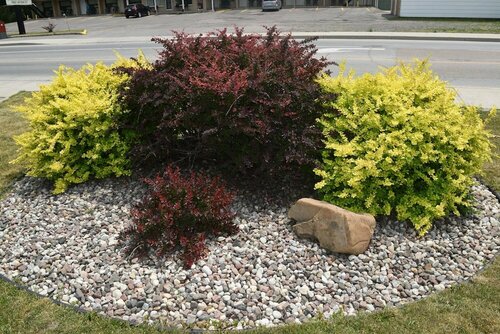 Arnprior Motor Inn, Забронировать Мини-отель Арнпрайер Ottawa Valley