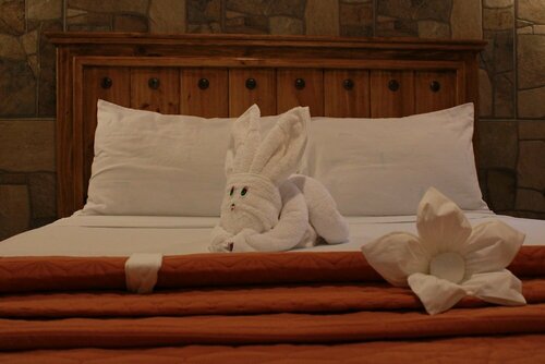 Venados Inn, Book Hotel Hoteller i Sinaloa med parkering, Parkering