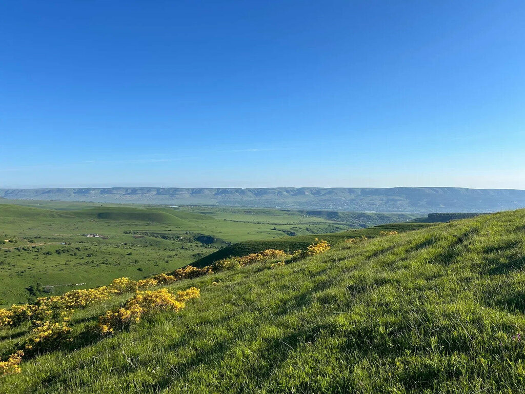 Медовые Холмы