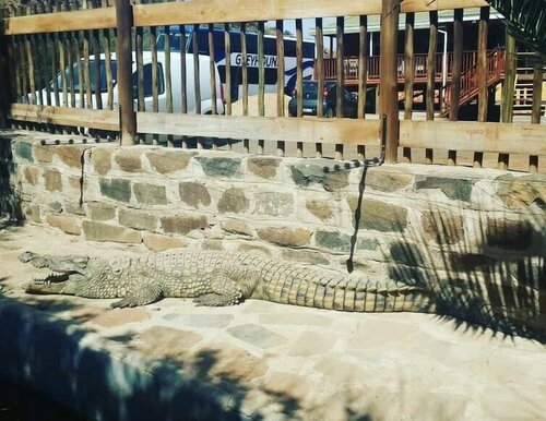 Sangiro Game Lodge, Κράτηση Ξενοδοχείο Μπλουμφοντέιν Free State