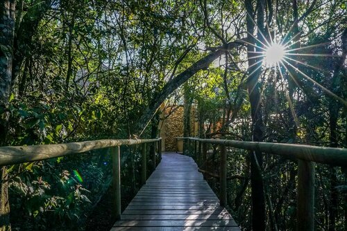 Trogon House and Forest Spa, Забронировать Курортный отель Крэгс Найсна