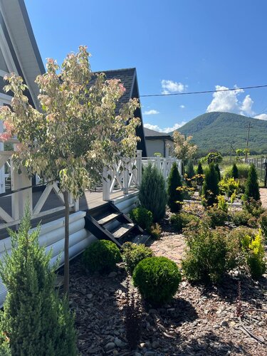 Гостевой дом Горный Сад, Забронировать Гостевой дом Даховская Майкопский район