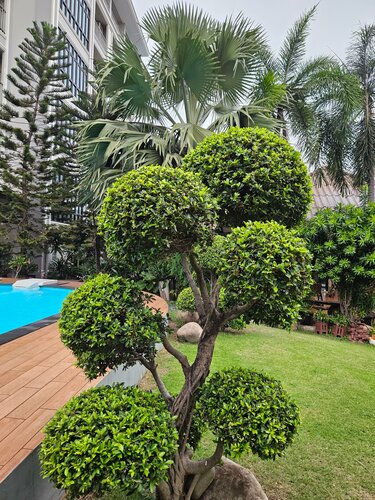 Silver Gold Garden, Suvarnabhumi Airport, Rezervovat Hotel Hotely v Central Thailand se snídaní, Snídaně