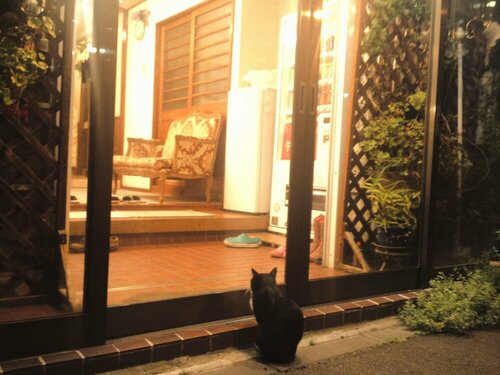 Pension Puppy Tail, Prenota Affittacamere Hakodate Hokkaido, vicino a Hakodate Port