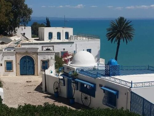 Dar El Yasmine Tunis, Rezervovat Penzión Tunis hotely s bazénem, Bazén