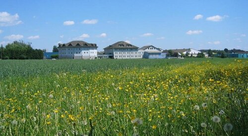 Paradies, Đặt Khách sạn Graz 