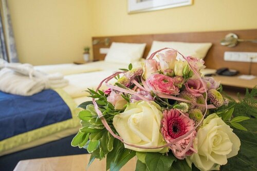 Hotel Rheinpark Rees, Забронировать Отель СПА-отели Lower Rhine, SPA-услуги