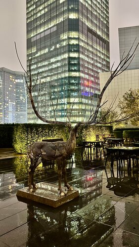 Mandarin Oriental, Guangzhou, Prenota Hotel Hotel a Guangdong con piscina, Piscina