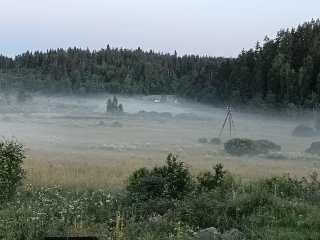 Хюгге Микли