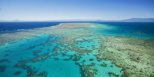 Coral Sea Villas, Prenota Appartamento Hotel a Queensland con parcheggio, Parcheggio