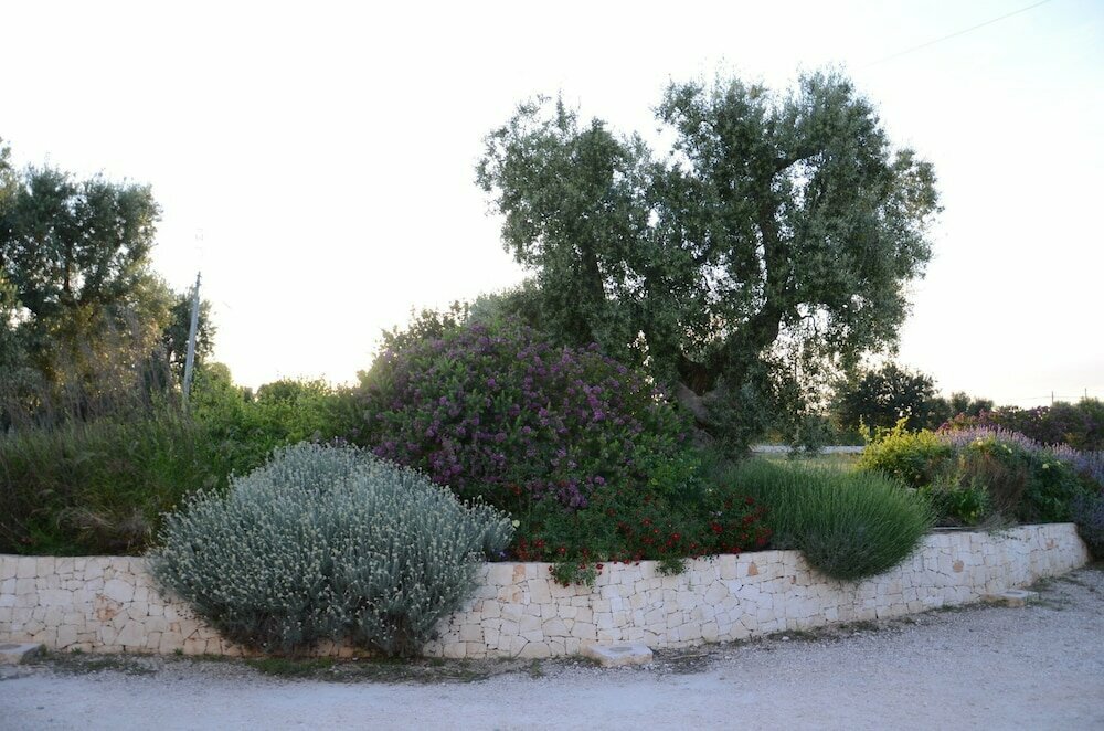 Tenuta Chianchizza