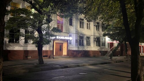 Отель Камелия-в, Забронировать Отель Владикавказ Республика Северная Осетия - Алания, рядом с Кафедральный собор Георгия Победоносца