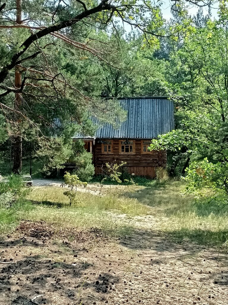 В гостях у сказки
