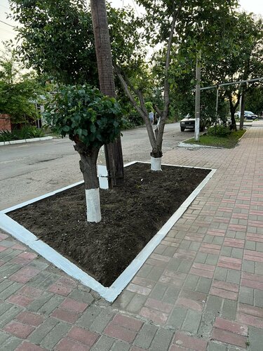 Семья, Забронировать Отель Отели Молчановки с бассейном, Бассейн