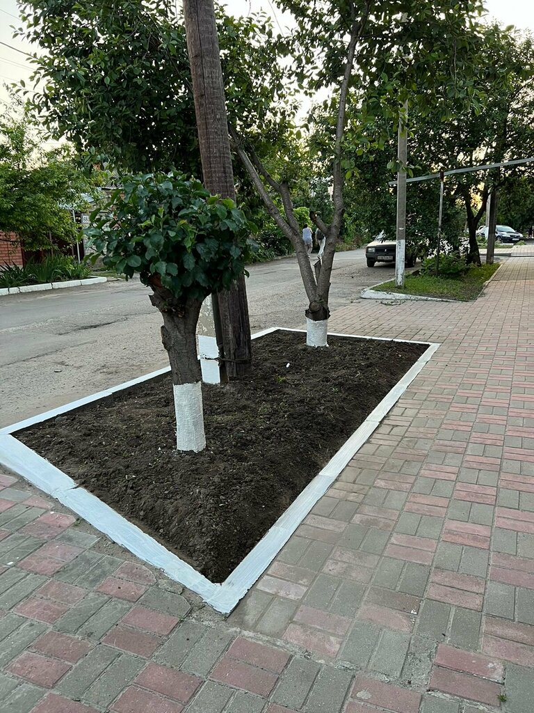 Семья