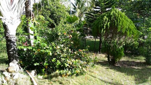 Jomajean Garden, Varaa Hotelli Masbate City Luzon