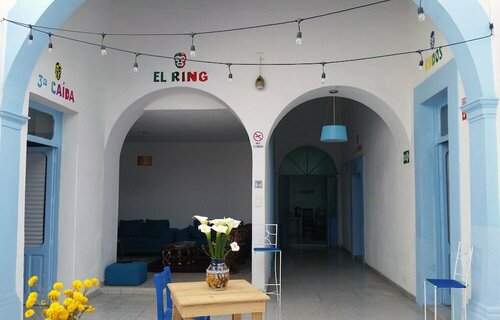 Santa Lucha Hostel, Rezervați Hostel Hosteluri în El Bajio, Hostel